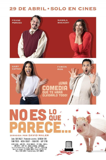 No es lo que parece Poster