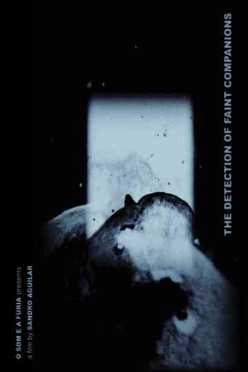 The Detection of Faint Companions Poster