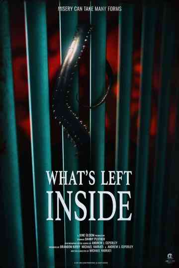 Whats Left Inside Poster