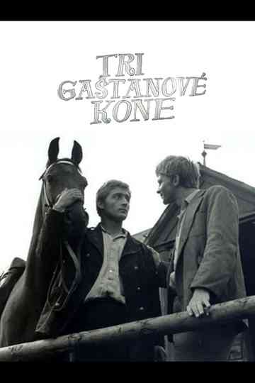 Tri gaštanové kone Poster