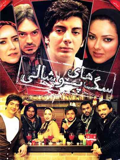 Saghaye Pooshali Poster