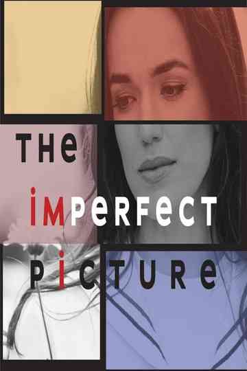 The Imperfect Picture Poster