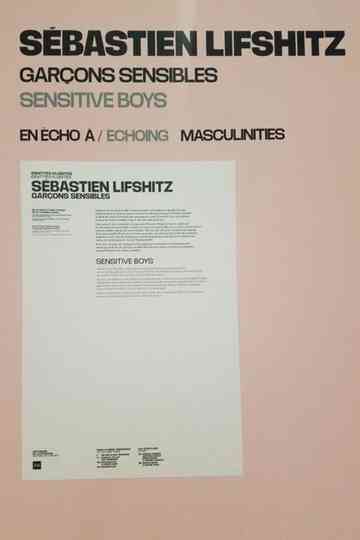 Sensitive Boys Poster
