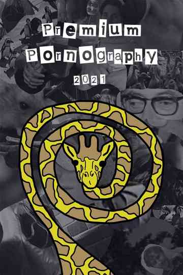 Premium Pornography Poster