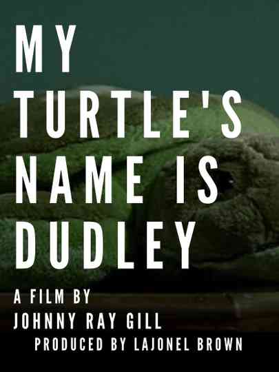 My Turtle's Name Is Dudley Poster