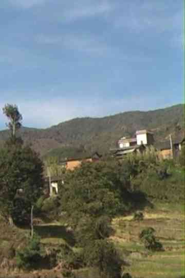 Huamulin 2012 Poster