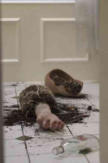 Seeds of Love Poster