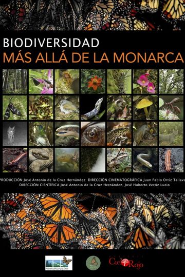 Biodiversity Beyond the Monarch
