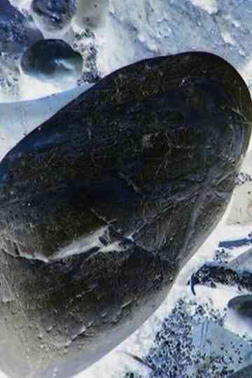 Ecosystem 20  Stone Poster