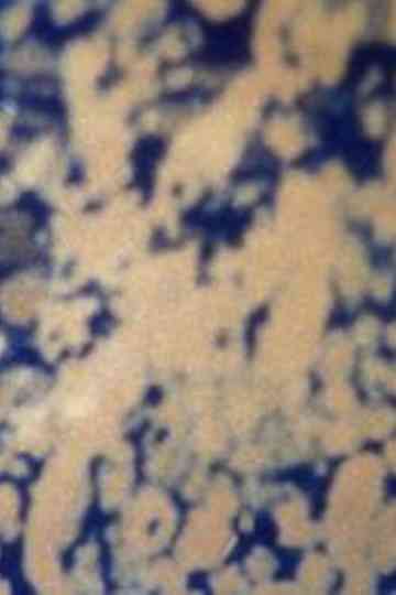 Ecosystem 9 ~ Quicksand Poster