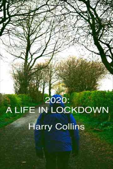 2020: A LIFE IN LOCKDOWN Poster