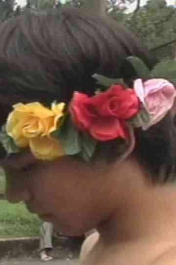 Looking for the Salt Poster