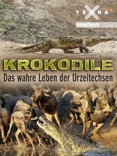 Crocodiles  The Private Life of Primeaval Reptiles