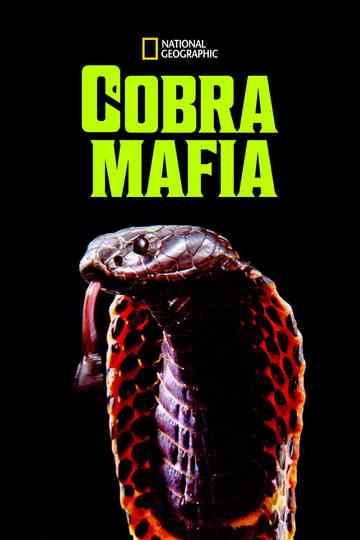 Cobra Mafia Poster