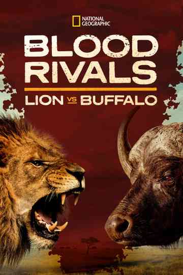 Blood Rivals: Lion vs Buffalo Poster