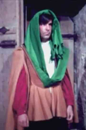 Life in a Medieval Town Poster