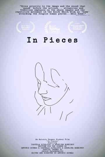 In Pieces Poster