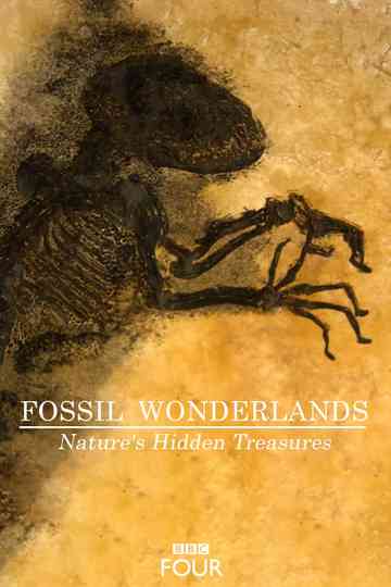 Fossil Wonderlands: Nature's Hidden Treasures Poster