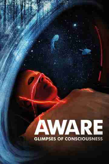 Aware Glimpses of Consciousness Poster