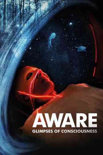 Aware Glimpses of Consciousness Poster