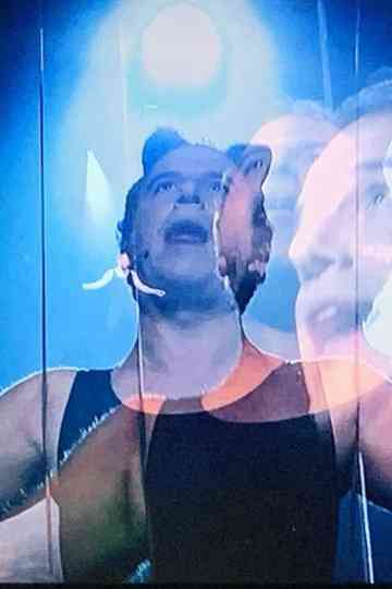 One Thousand Cats Poster