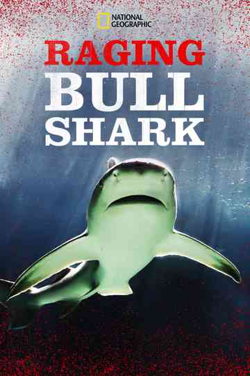 Raging Bull Shark Poster