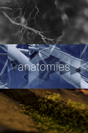 anatomies