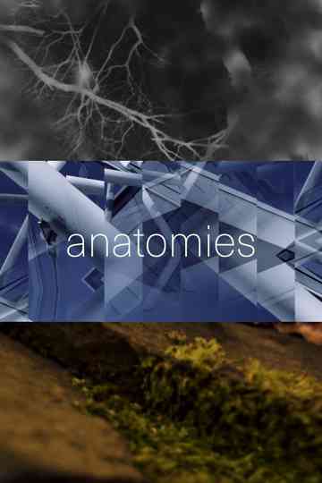 anatomies Poster