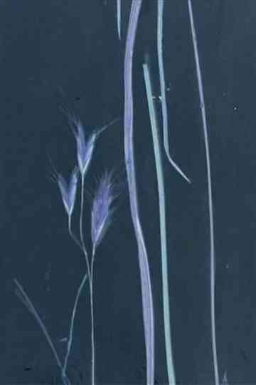 I follow rivers Poster