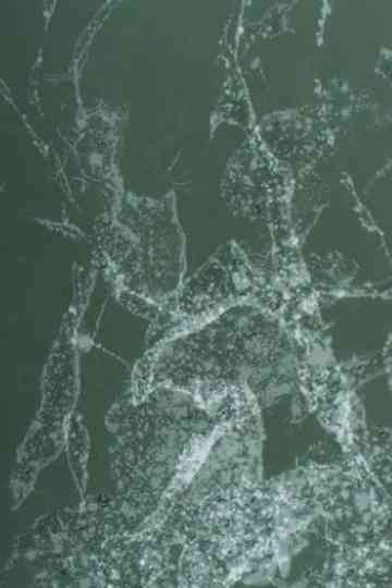 early summer dust in the wind Poster