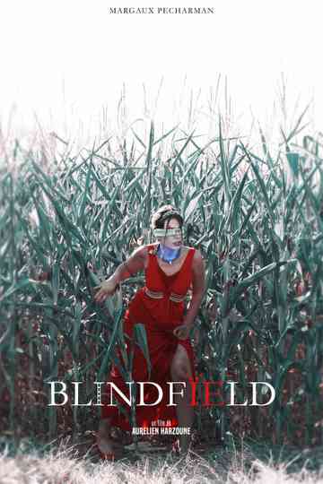 BLINDFÏELD Poster