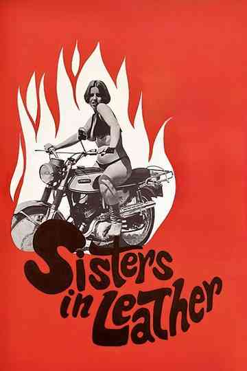 Sisters in Leather Poster