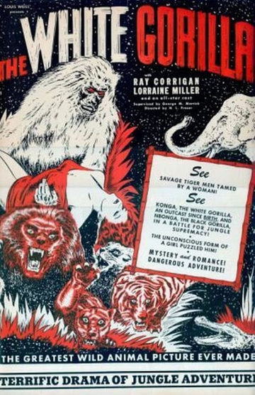 The White Gorilla Poster