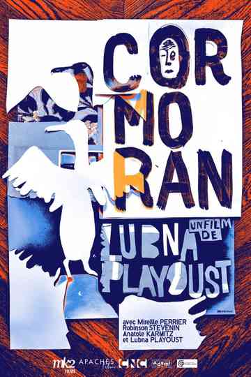 The Cormorant Poster