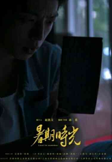 Lost in Summer Poster