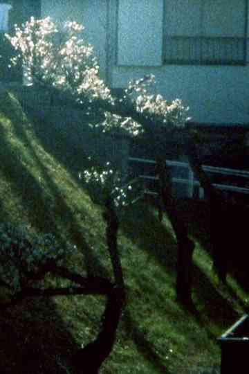 What is it that you said Poster