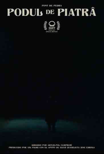 The Stone Bridge Poster