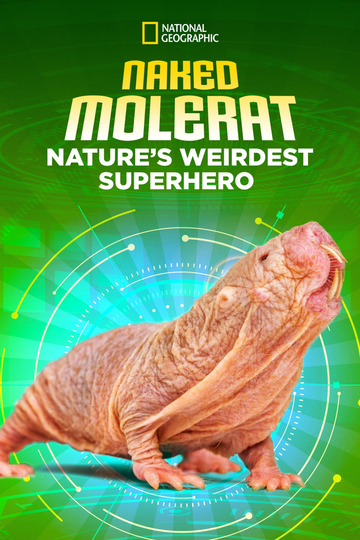 Naked Molerat Natures Weirdest Superhero