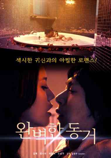 Perfect Cohabitation Poster