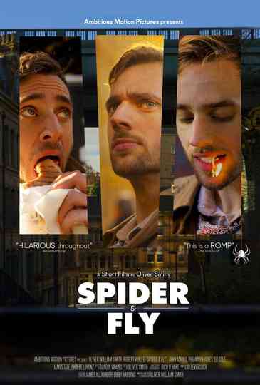 Spider  Fly Poster