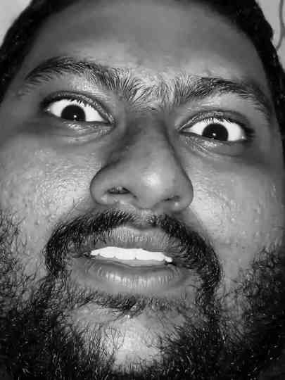 Bird on the 27th Floor Poster