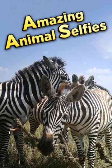 Amazing Animal Selfies Poster