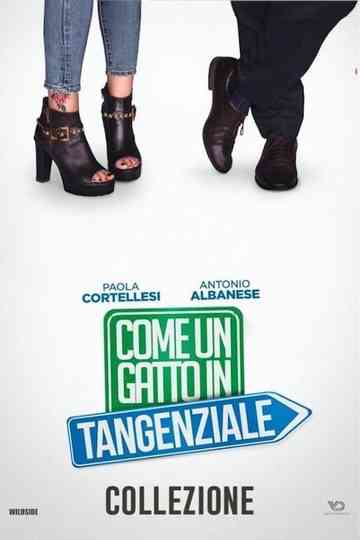 Come un gatto in tangenziale - Collezione Poster