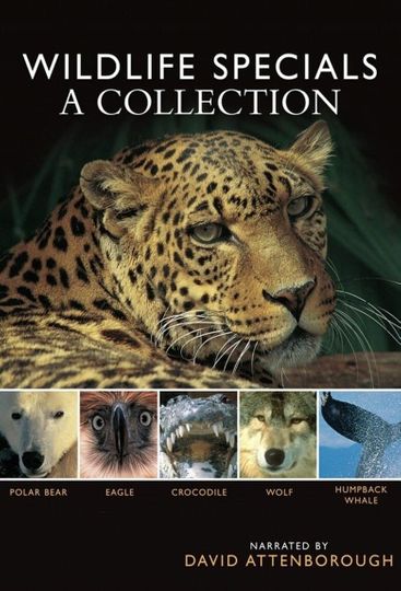 The wildlife specials season 1