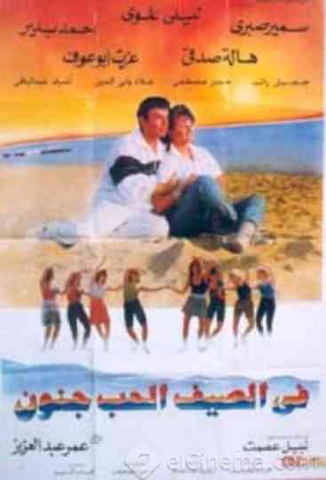 Love Is Crazy in the Summer Poster