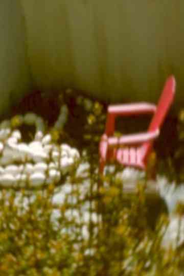 …at large under the sun… Poster