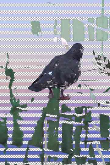 Tugging Diary Poster