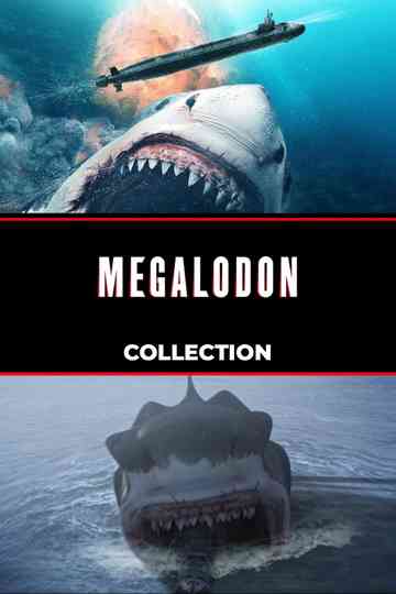 Megalodon Collection Poster