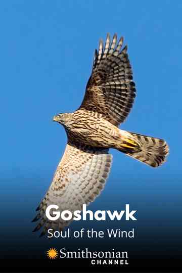 Goshawk  Soul of the Wind Poster