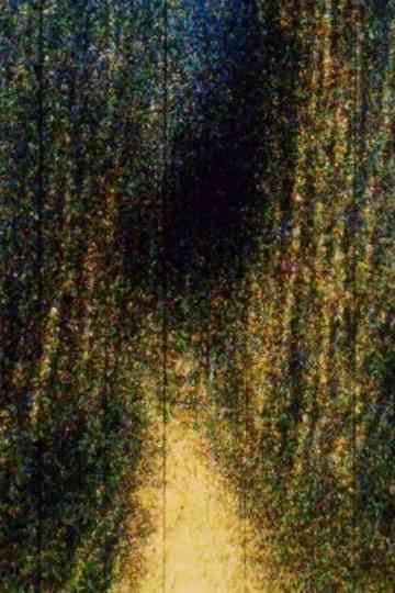 Sackville Marshwalk Poster